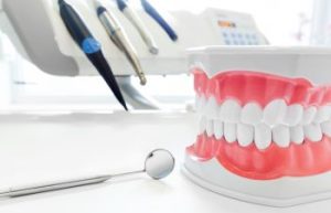 Dental Model