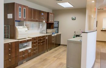 Sterilization room with wood cabinetry and dental equipment